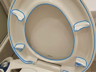 American Standard Toilet seat support