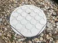 0.2mm layer, 6 walls, 25% infill, tree supports