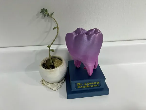 https://makerworld.bblmw.com/makerworld/model/US5ceee9c64d79ce/design/2025-05-06_addb54122b3818.jpg