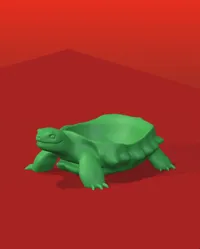 Tortue porteuse — photo 4