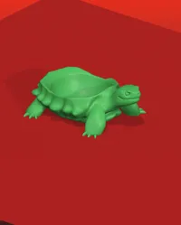 Tortue porteuse — photo 9