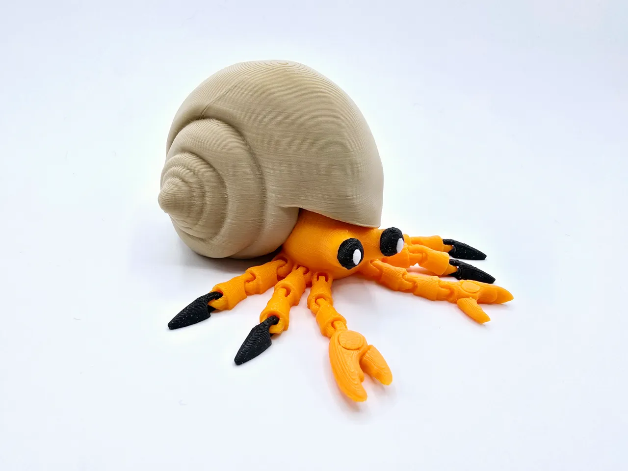 Flexi Hermit Crab view 4