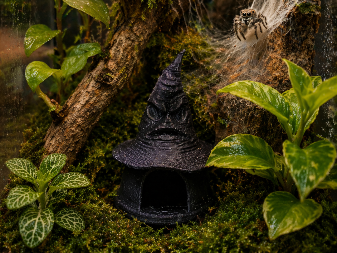 Sorting Hat Hide