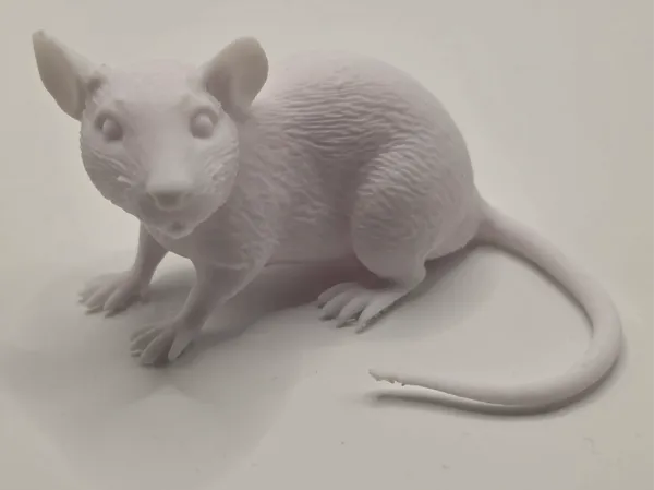 https://makerworld.bblmw.com/makerworld/model/US5cf5b01e6c43e3/design/eb29a65fc17af3f2.jpg
