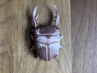 https://makerworld.bblmw.com/makerworld/model/US5cfa995b0f3657/design/2024-12-03_f11a61ca911fc.jpg