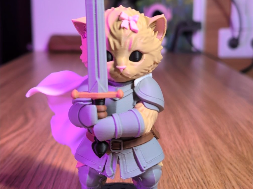 knight cat - 1