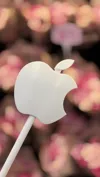 Apple Pay Curved White