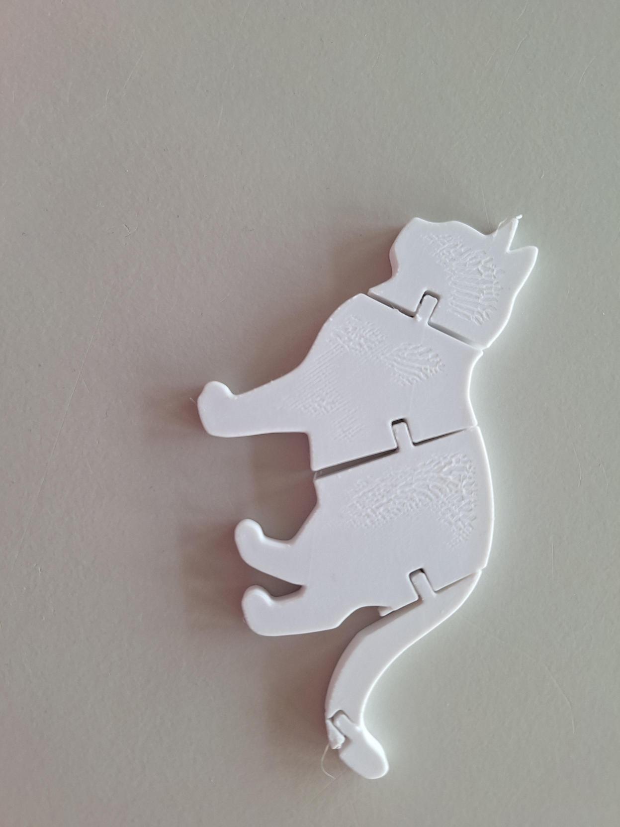Cat Flexitoy - Free 3D Print Model - MakerWorld