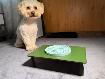 Dog Slow feeder riser