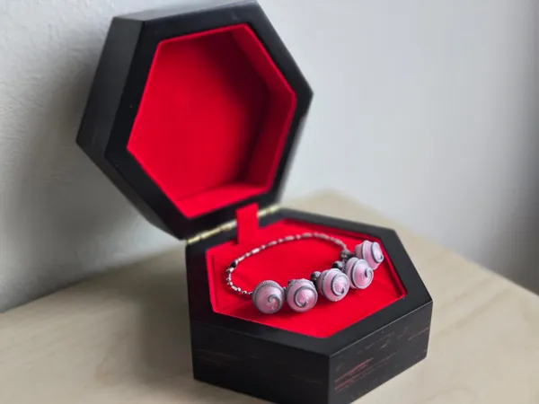 https://makerworld.bblmw.com/makerworld/model/US5d0aa925bf275a/design/2026-01-15_8d602a90f62d8.jpeg