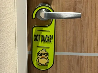 Cruise Duck Door Hanger – Got Ducks?