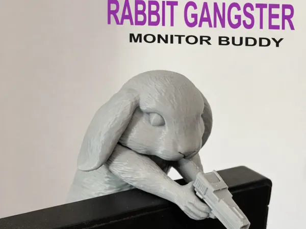 https://makerworld.bblmw.com/makerworld/model/US5d134a667338db/design/296a2693d88dd2cb.png