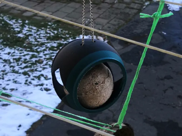 https://makerworld.bblmw.com/makerworld/model/US5d1370168161cc/design/2024-11-24_b4bc0752e5c5c8.jpg