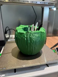0.2mm layer, 2 walls, 5% infill
