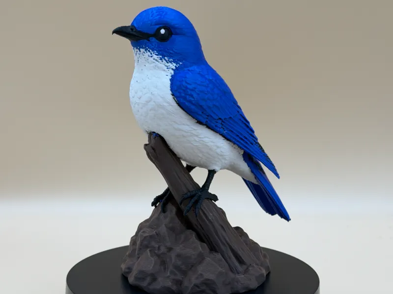 Mountain Blue Bird - Idaho State Bird