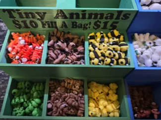 Tiny Animal Display