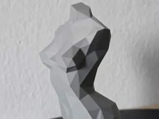 woman body low poly