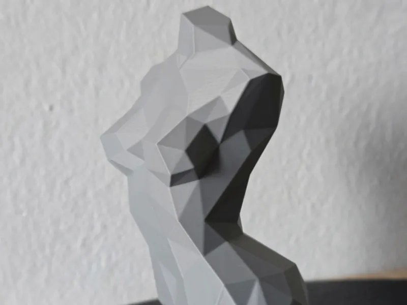 woman body low poly
