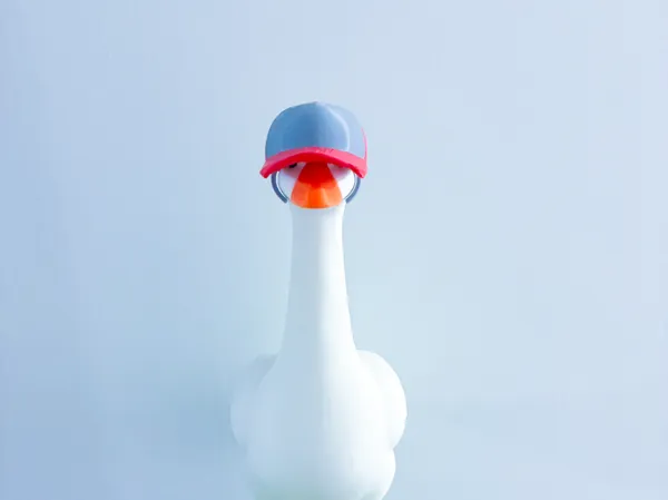 https://makerworld.bblmw.com/makerworld/model/US5d2974263977a6/design/149e98a90230f895.jpg