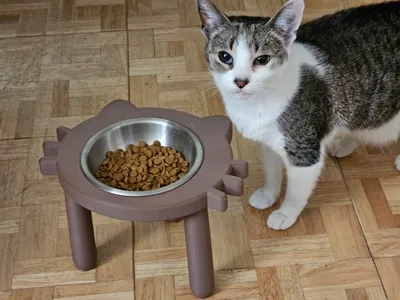 cat face food bowl holder