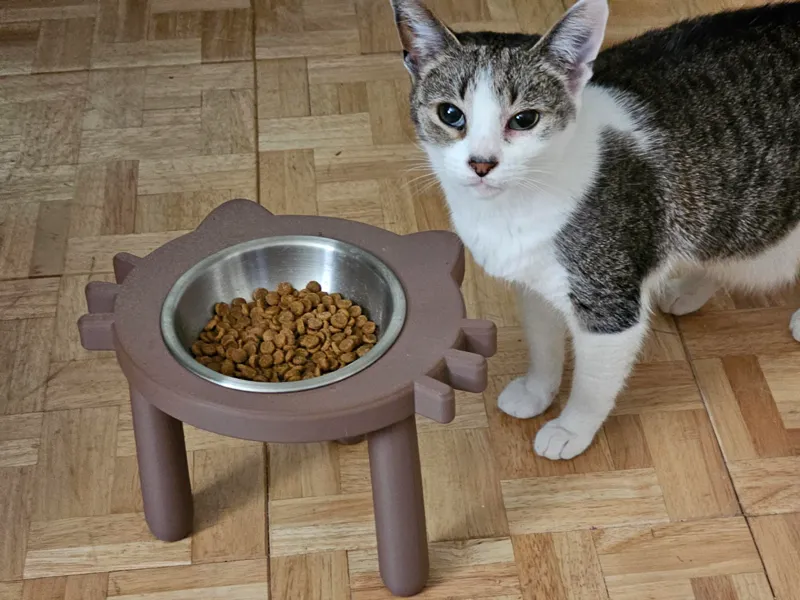 cat face food bowl holder