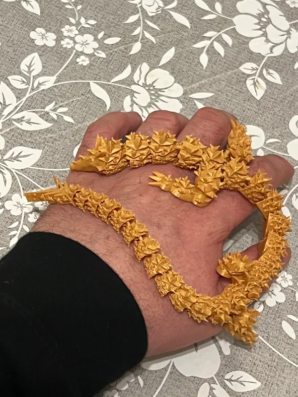 https://makerworld.bblmw.com/makerworld/model/US5d2c10575669de/design/2024-01-21_270fb908e64f2.jpg