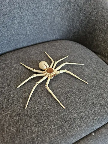 Letrero o emblema decorativo: House Invaders - Huntsman Spider — vista de referencia 4
