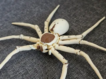 Letrero o emblema decorativo: House Invaders - Huntsman Spider — vista de referencia 5