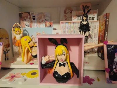 Marin Kitagawa - Bunny Cosplay - Book Nook 