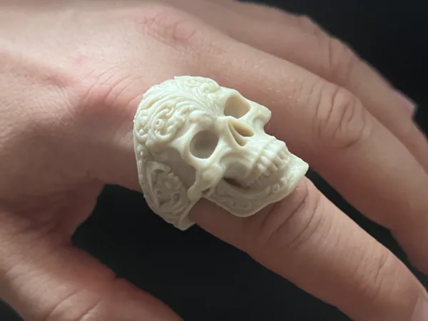 https://makerworld.bblmw.com/makerworld/model/US5d322b66976606/design/2025-12-13_81475fc5077688.jpeg