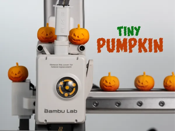 https://makerworld.bblmw.com/makerworld/model/US5d3301cb7d260f/design/2025-09-21_9662b47a20442.jpg