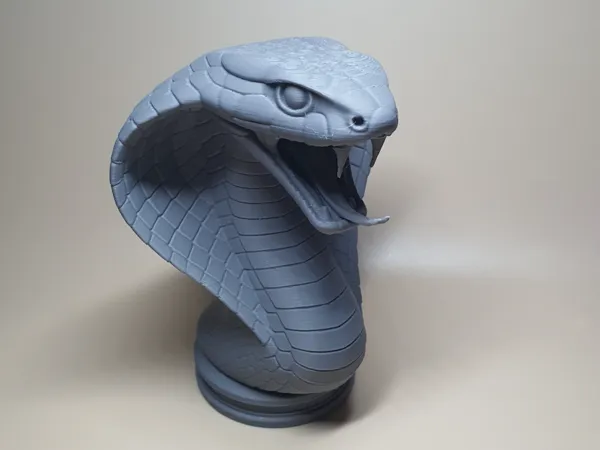 https://makerworld.bblmw.com/makerworld/model/US5d34ed7a975bc2/design/2025-08-04_14daf10c279638.jpg