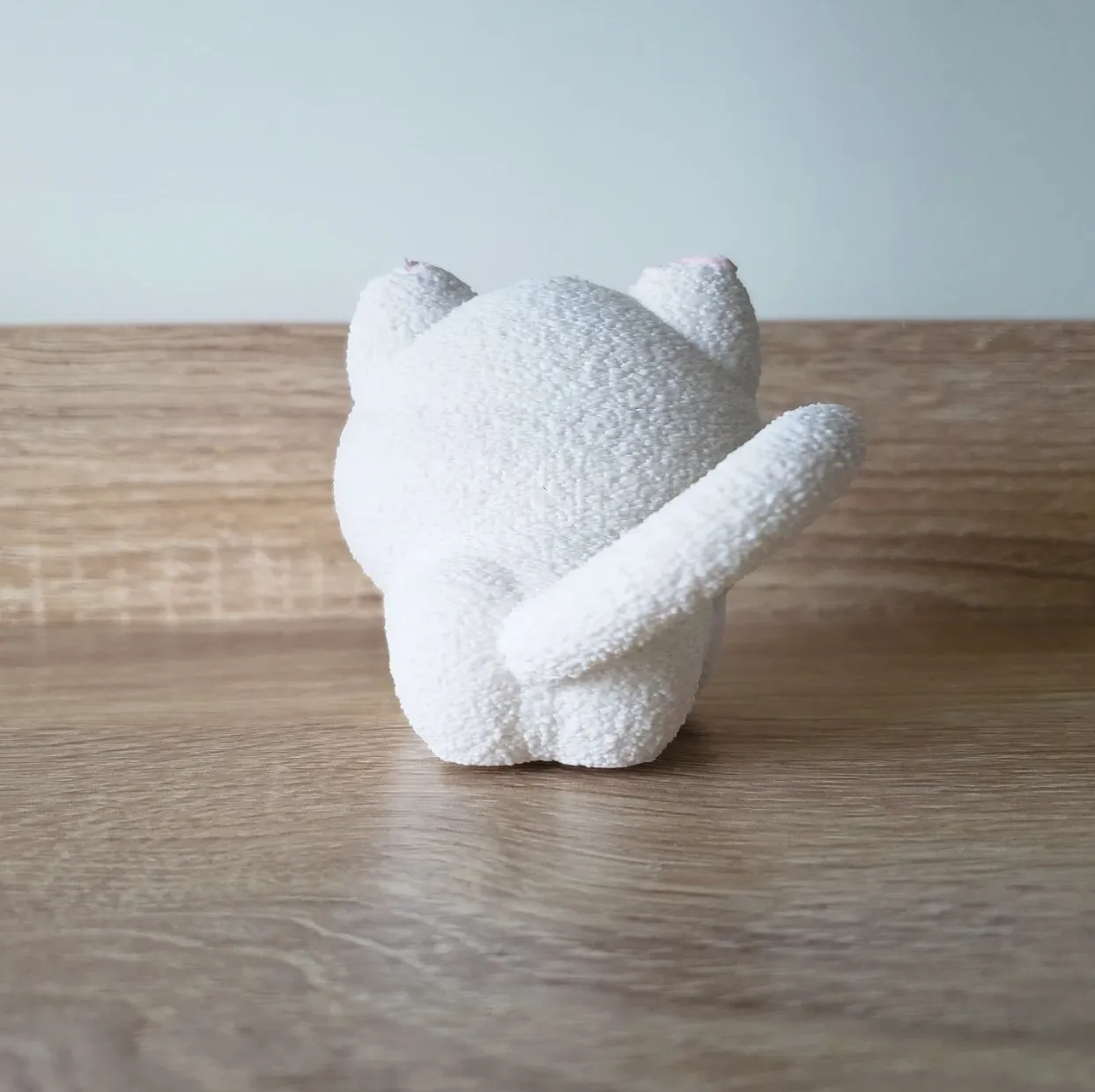 Cute fat cat view 3