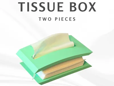 Modern tissue box
