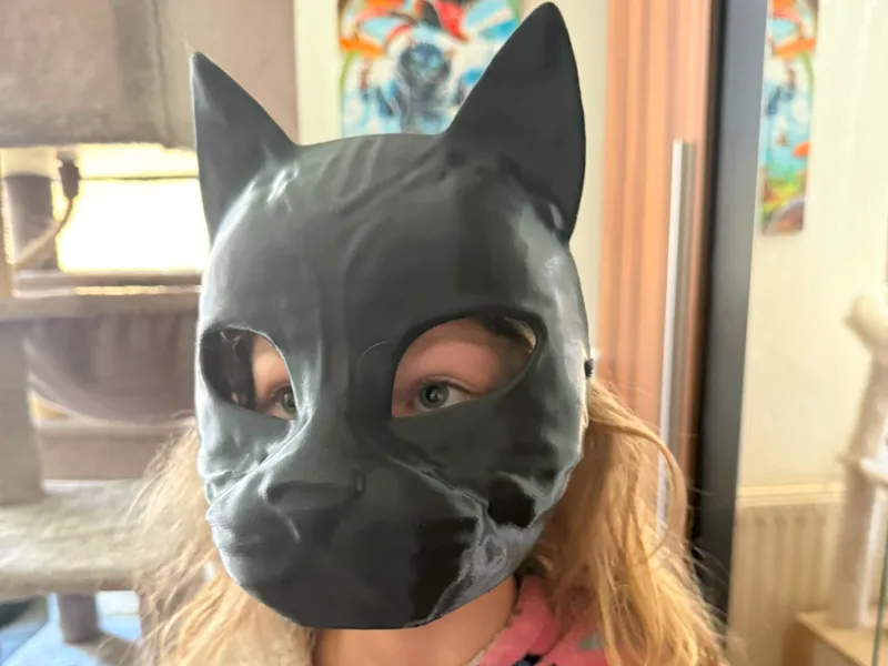 Cat mask, cosplay, carnival