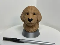 AMS & Colored Base ~ 0.24mm layer, 2 walls, 10% infill