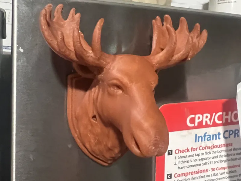 Trophy Moose magnet