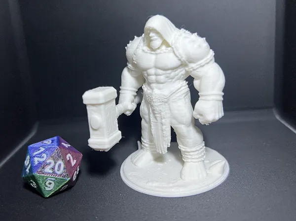 https://makerworld.bblmw.com/makerworld/model/US5d48ef5f5446fc/design/57db8a186d668091.jpeg