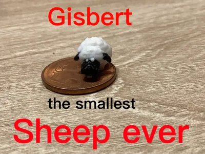 Gisbert the smallest sheep ever