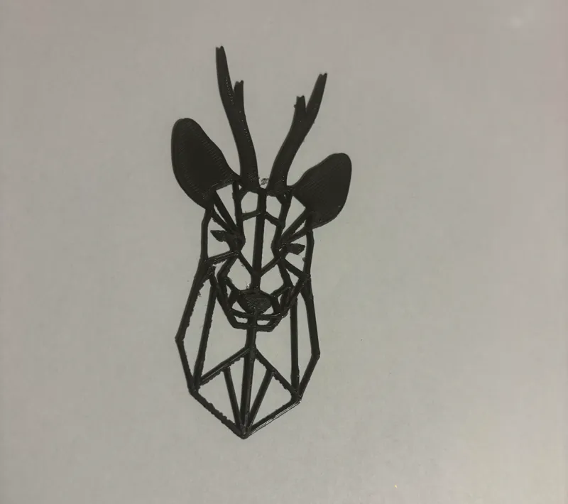 Roe on the wall