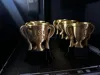 5 Trophies Dual color 8+ hours