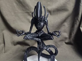 ALIEN Yoga