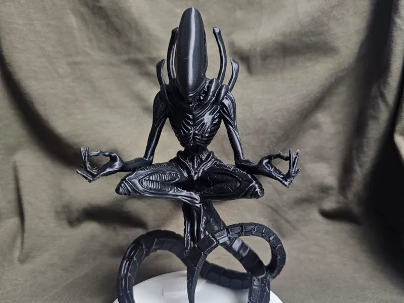 ALIEN Yoga