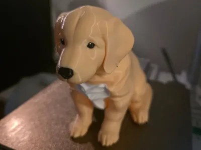 Golden Retriever Puppy - Perro Golden Retriever