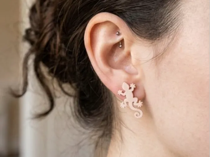 Earing Gecko silhouette