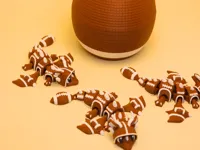 Flexi American Football Dragon