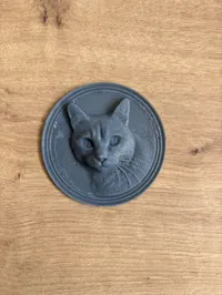 Pièce chat — photo 2