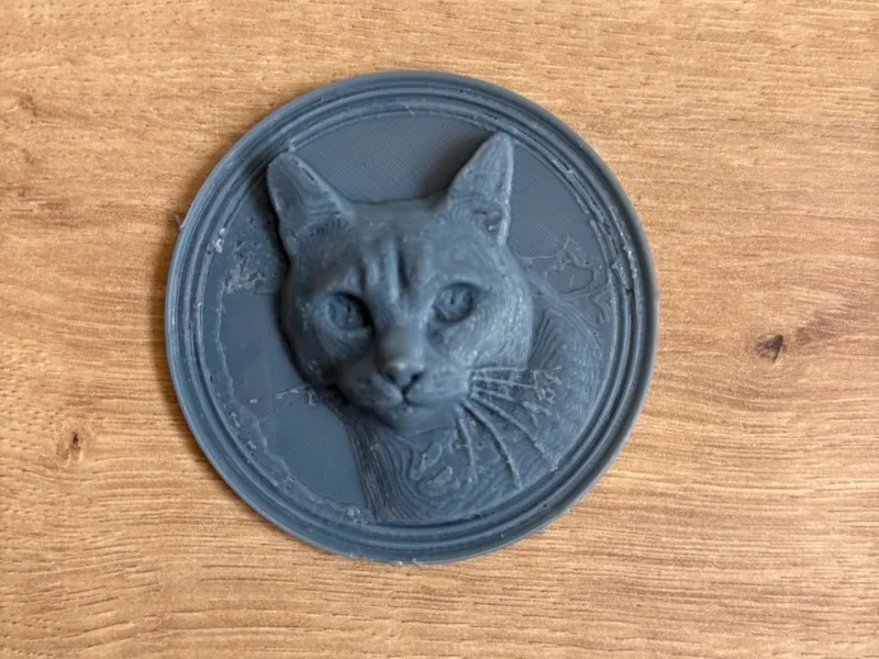 Cat coin