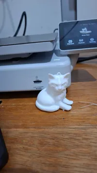 0.16mm layer, 2 walls, 15% infill