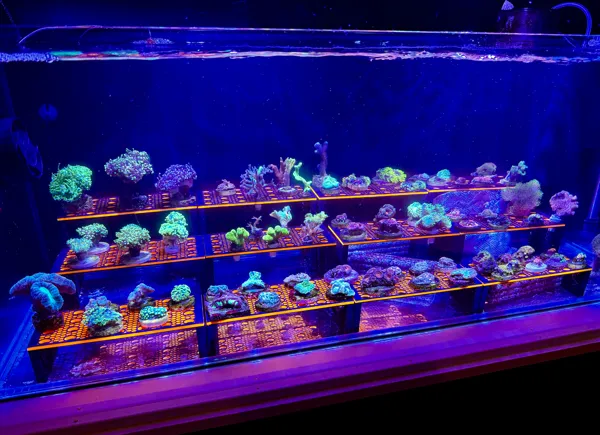 https://makerworld.bblmw.com/makerworld/model/US5d5714ab29736d/design/2024-05-23_dd2c8af262a5d.jpg